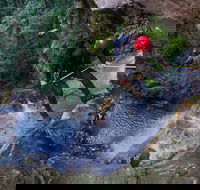 Small-Group Full-Day Canyoning and Abseiling Adventure from Katoomba - Winery Find