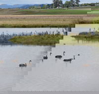 Beardy Waters Dam and Woodlands - Winery Find