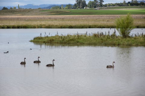 Beardy Waters Dam And Woodlands - Winery Find 0