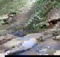 Bomaderry Creek Regional Park - Winery Find