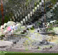 Maroochy Regional Bushland Botanic Garden - Winery Find