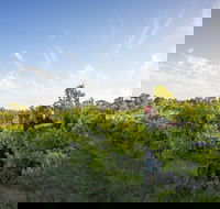Mclaren Vale - Winery Find