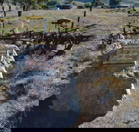 Wangaraleednie Monument  Ruins - Winery Find