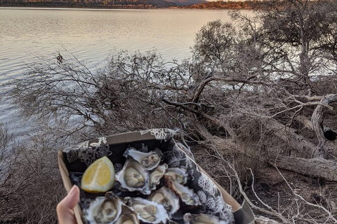 Full Day Boat Hire Experience - Winery Find 9