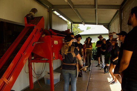 Pecan Farm Tour And Workshop, Byron Bay Hinterland - Winery Find 4