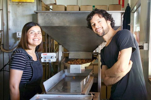 Pecan Farm Tour And Workshop, Byron Bay Hinterland - Winery Find 7