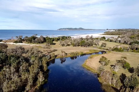 Pecan Farm Tour And Workshop, Byron Bay Hinterland - Winery Find 3