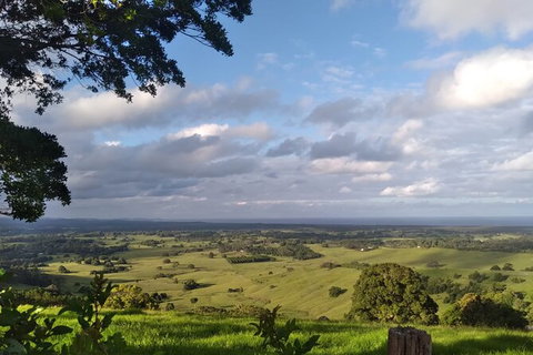 Pecan Farm Tour And Workshop, Byron Bay Hinterland - Winery Find 1