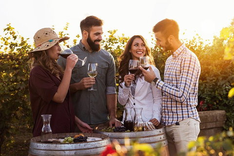 Hunter Valley Highlights Private Wine Tour From Sydney - Winery Find 0