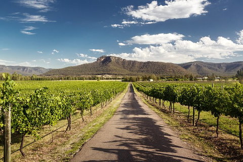 Hunter Valley Highlights Private Wine Tour From Sydney - Winery Find 2