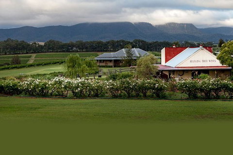 Hunter Valley Highlights Private Wine Tour From Sydney - Winery Find 5