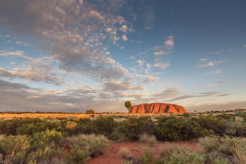 Uluru, Kata Tjuta And Kings Canyon Camping Safari From Alice Springs - Winery Find 2