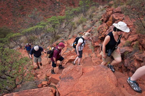 Uluru, Kata Tjuta And Kings Canyon Camping Safari From Alice Springs - Winery Find 3