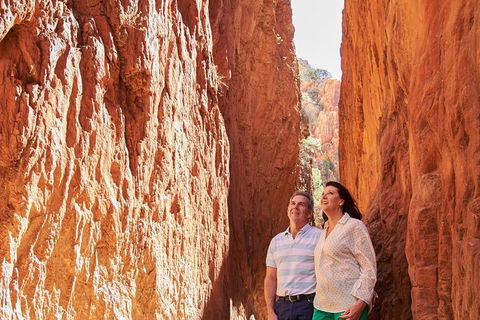 Best Of Alice Springs Full Day Tour - Winery Find 4