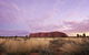 Explore Uluru: 7 Hours Guide Tour At Sunrise With Light Breakfast - thumb 4