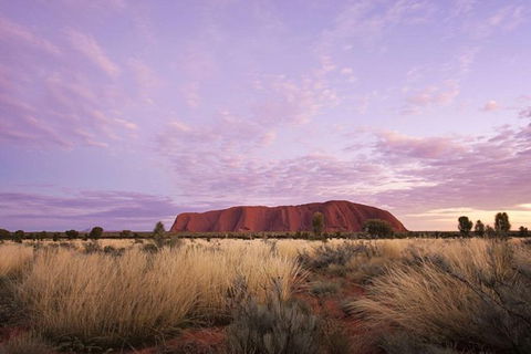Explore Uluru: 7 Hours Guide Tour At Sunrise With Light Breakfast - Winery Find 4