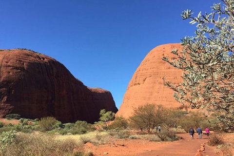 5-Hour Kata Tjuta Sunrise Tour From Ayers Rock With Breakfast - Winery Find 2