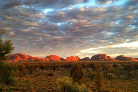 5-Hour Kata Tjuta Sunrise Tour From Ayers Rock With Breakfast - Winery Find 0