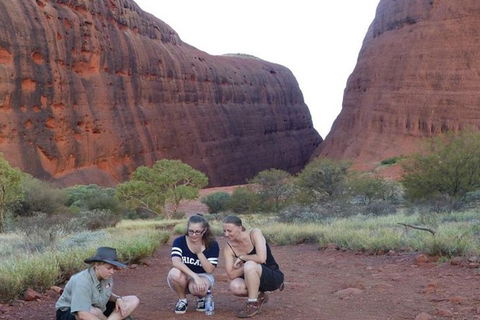 5-Hour Kata Tjuta Sunrise Tour From Ayers Rock With Breakfast - Winery Find 3