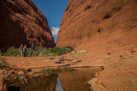 4 Day/3 Night Perentie Dreaming Safari - Winery Find 3