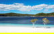 All-Inclusive Fraser Island Day Tour - thumb 2