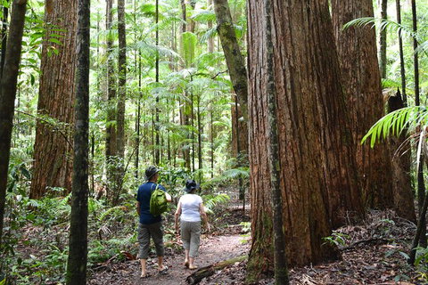 All-Inclusive Fraser Island Day Tour - Winery Find 6