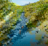Cruise 'n' Canoe to Australia's Everglades - Winery Find