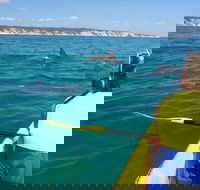 Kayak with Dolphins and 4WD Great Beach Drive Day Trip from Noosa - Winery Find