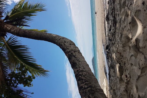 Airport Transfers Between Cairns Airport And Cairns City - Winery Find 4