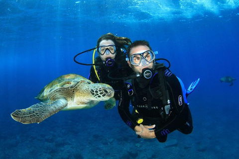 3-Day Open Water Certification Course On The Gold Coast - Winery Find 1