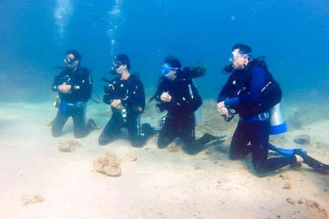 3-Day Open Water Certification Course On The Gold Coast - Winery Find 2