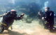 3-Day Open Water Certification Course On The Gold Coast - thumb 4