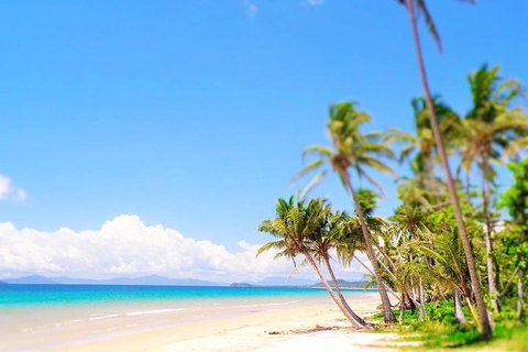 Airport Transfer - Cairns Airport To Mission Beach - Winery Find 1