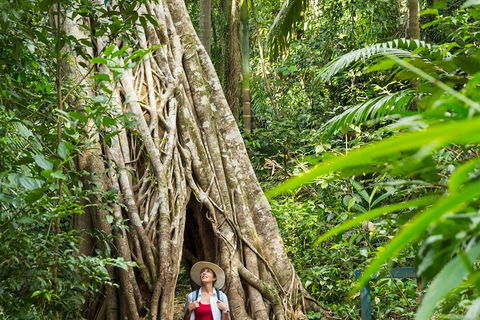 Rainforest To Reef Experience - Reef And Beyond Guided Holidays - Winery Find 2