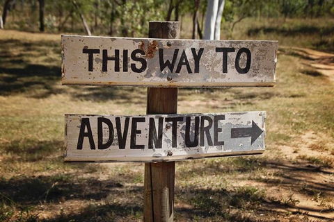 Rainforest To Reef Experience - Reef And Beyond Guided Holidays - Winery Find 6