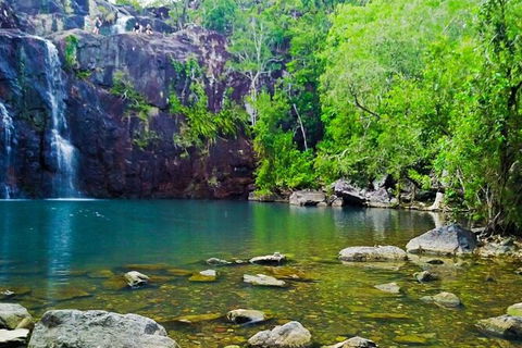 Rainforest To Reef Experience - Reef And Beyond Guided Holidays - Winery Find 5