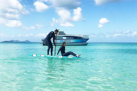 Rainforest To Reef Experience - Reef And Beyond Guided Holidays - Winery Find 3