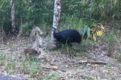 Daintree Luxury Limousine Tour - Full Day - Winery Find 8