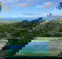 Daintree Luxury Limousine Tour - Full Day - Winery Find