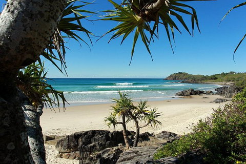 Fingal Head Learn-to-Surf Day Trip From The Gold Coast Or Byron Bay - Winery Find 4