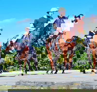 Mid-Morning Beach Horse Ride in Cape Tribulation with Pick Up - Winery Find