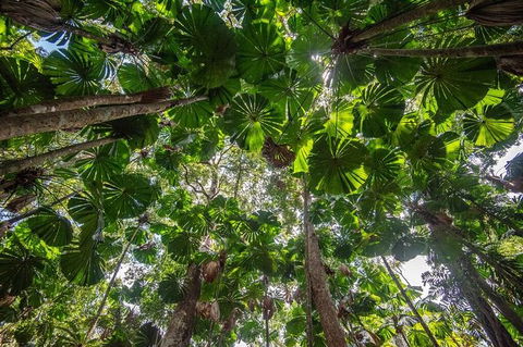 5 Day Australia Retreat: Queensland Daintree - Winery Find 4