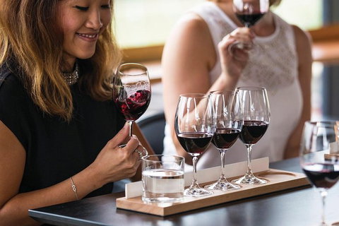 Adelaide Hills Regional / Hahndorf German Village Tour - Winery Find 3