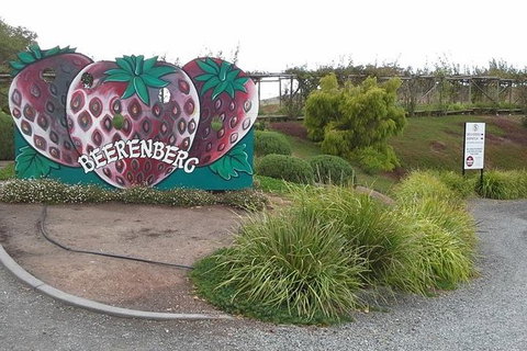 Adelaide Hills Regional / Hahndorf German Village Tour - Winery Find 6