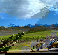 Unique Trike Barossa Valley Half Day Private Tour For 2 - Winery Find
