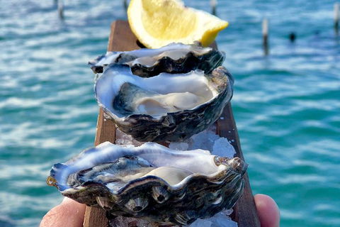 Coffin Bay Oysters, Ocean & Nature Tour - Winery Find 0