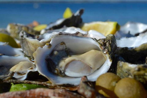 Coffin Bay Oysters, Ocean & Nature Tour - Winery Find 8