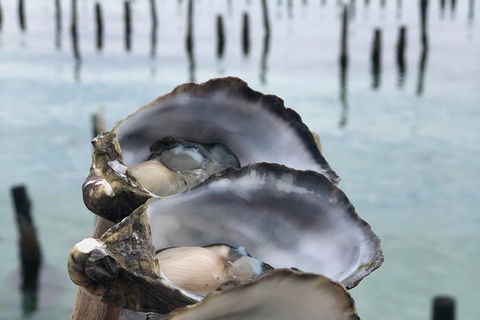 Coffin Bay Oysters, Ocean & Nature Tour - Winery Find 6