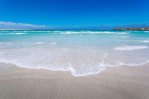 Coffin Bay Oysters, Ocean & Nature Tour - Winery Find 14