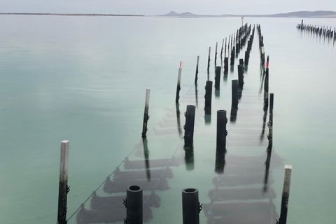 Coffin Bay Oysters, Ocean & Nature Tour - Winery Find 15